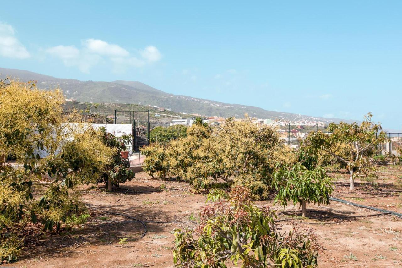 فيلا Casa Quemahierro 1 إيكود ذي لوس فينوس المظهر الخارجي الصورة